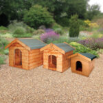 Albany Sutton, Glen and Puppy Kennels