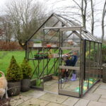 Elite High Eave 6'3" wide greenhouse