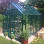 Elite Thyme 6'3" Wide greenhouse