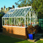 Elite Thyme 6'3" Wide Dwarf wall model