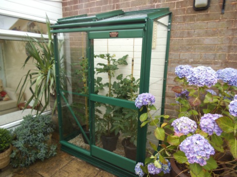 Elite EasyGrow