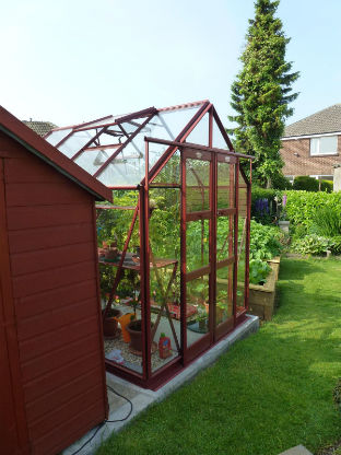 Elite Strata 6'3" Wide greenhouse