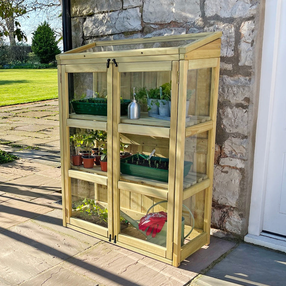 Zest Compact Botanical Greenhouse