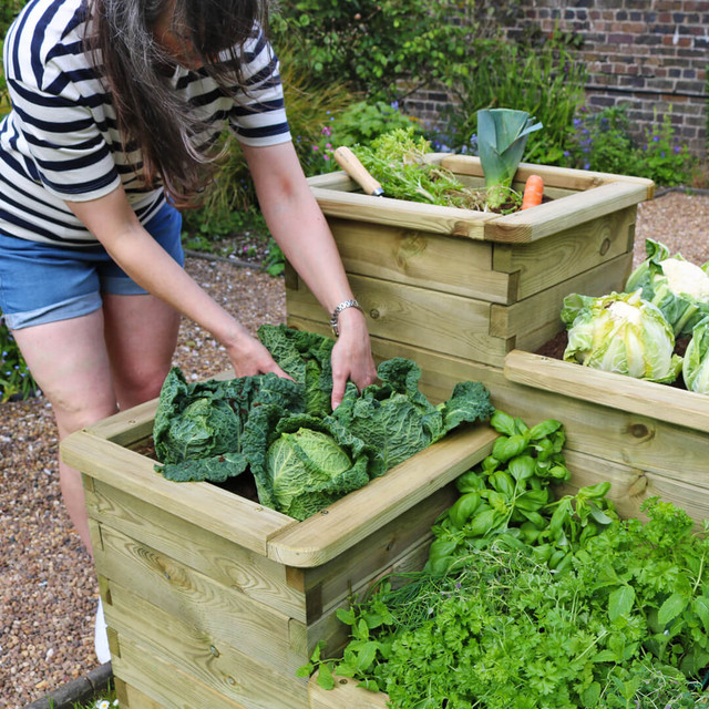 Zest 4-Tier Raised Bed