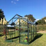 Vitavia Apollo 5000 Green