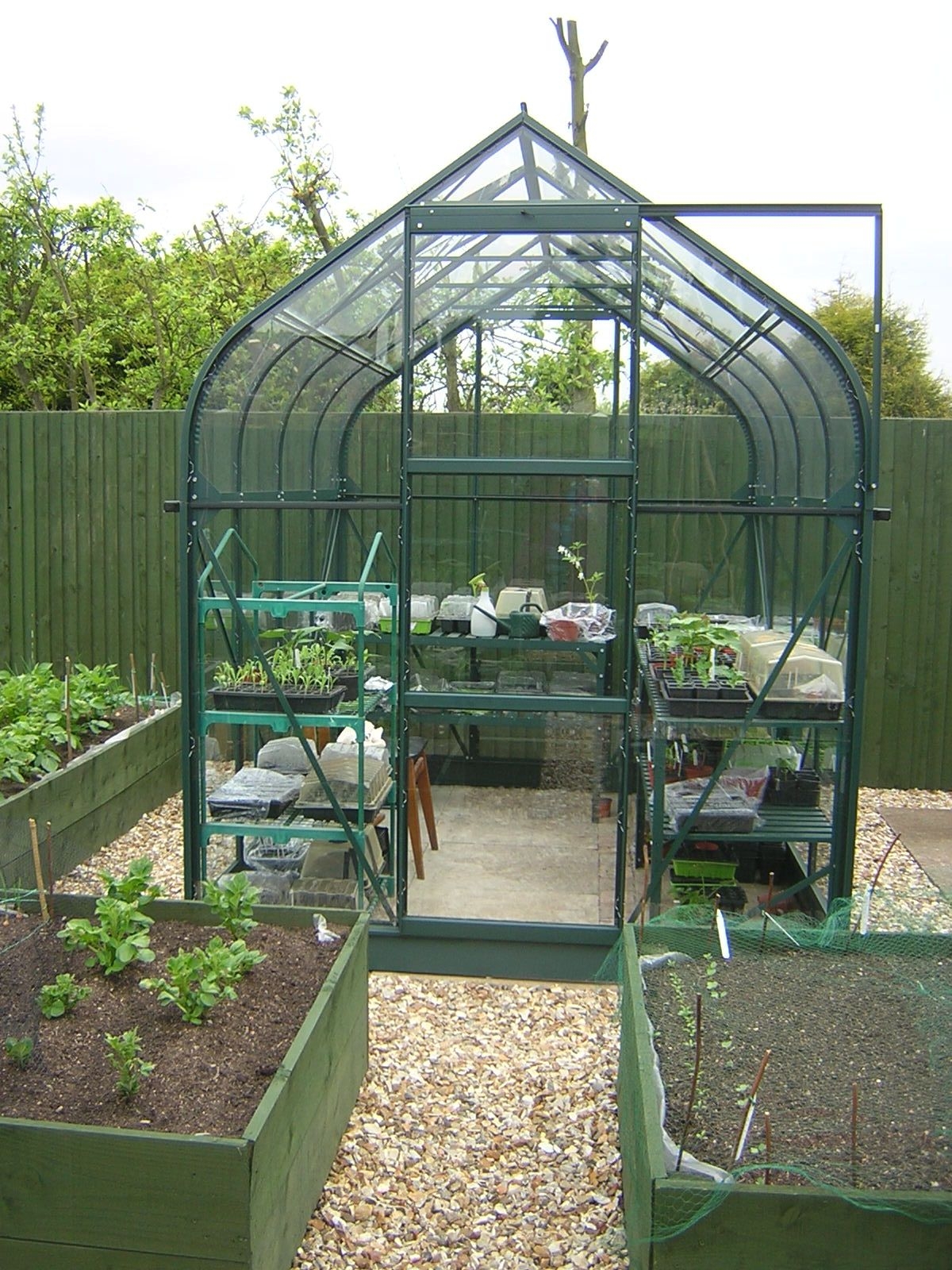 Vitavia Orion 5000 Green