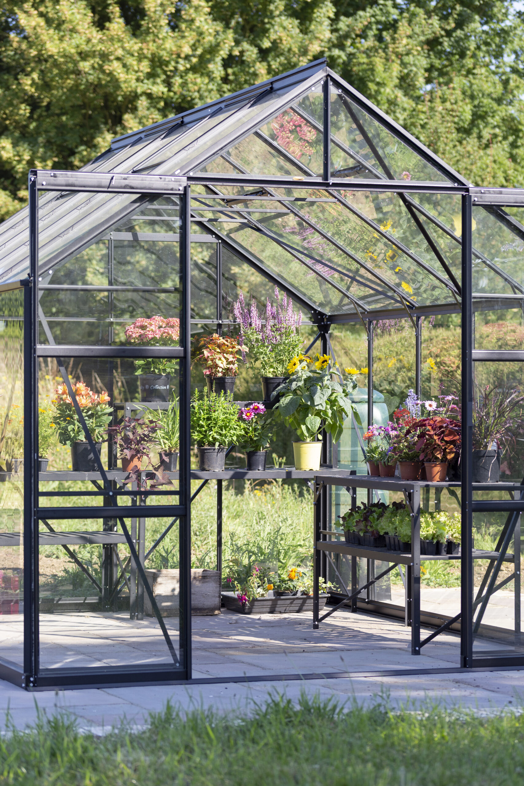Vitavia Phoenix 8300 in Black