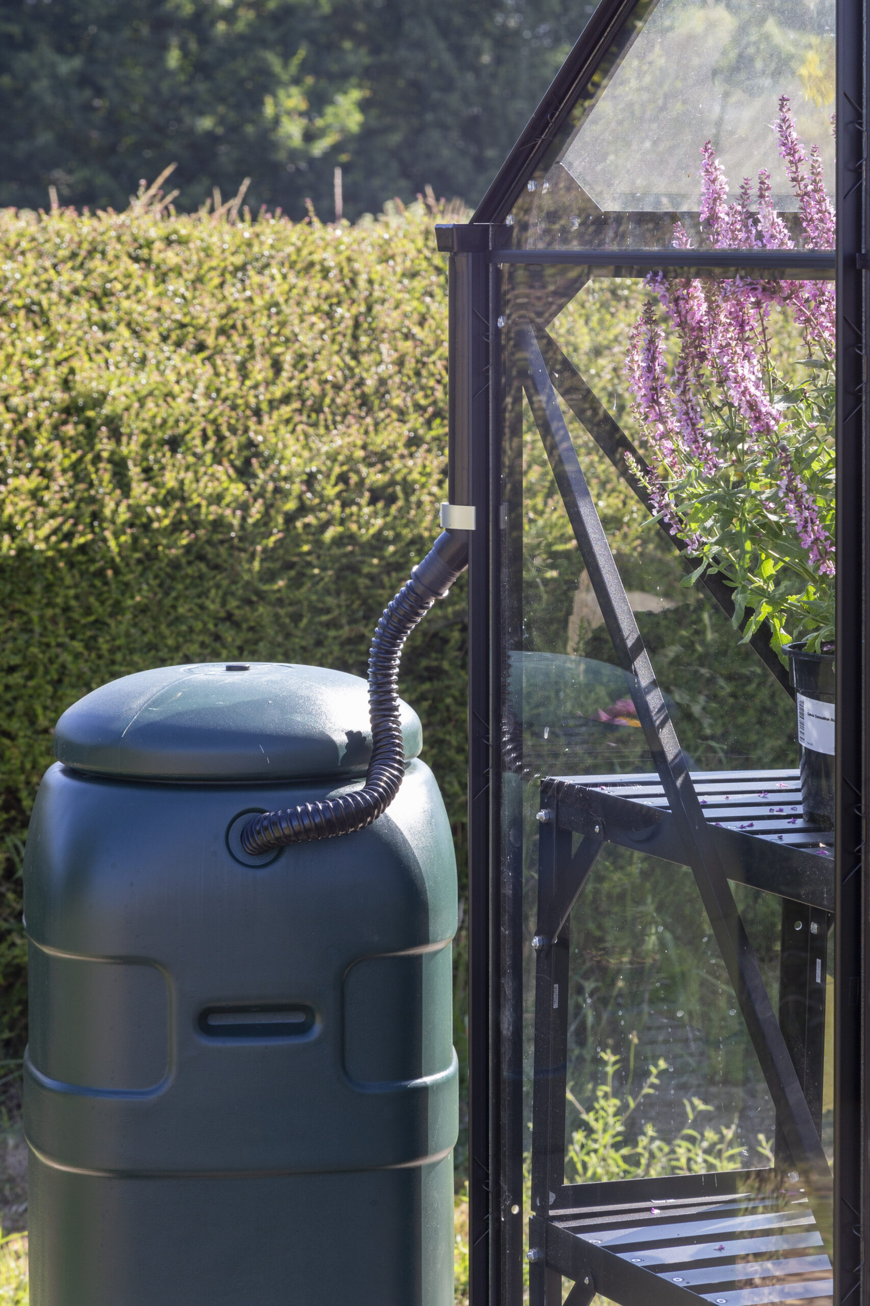 Vitavia Phoenix 8300 in Black