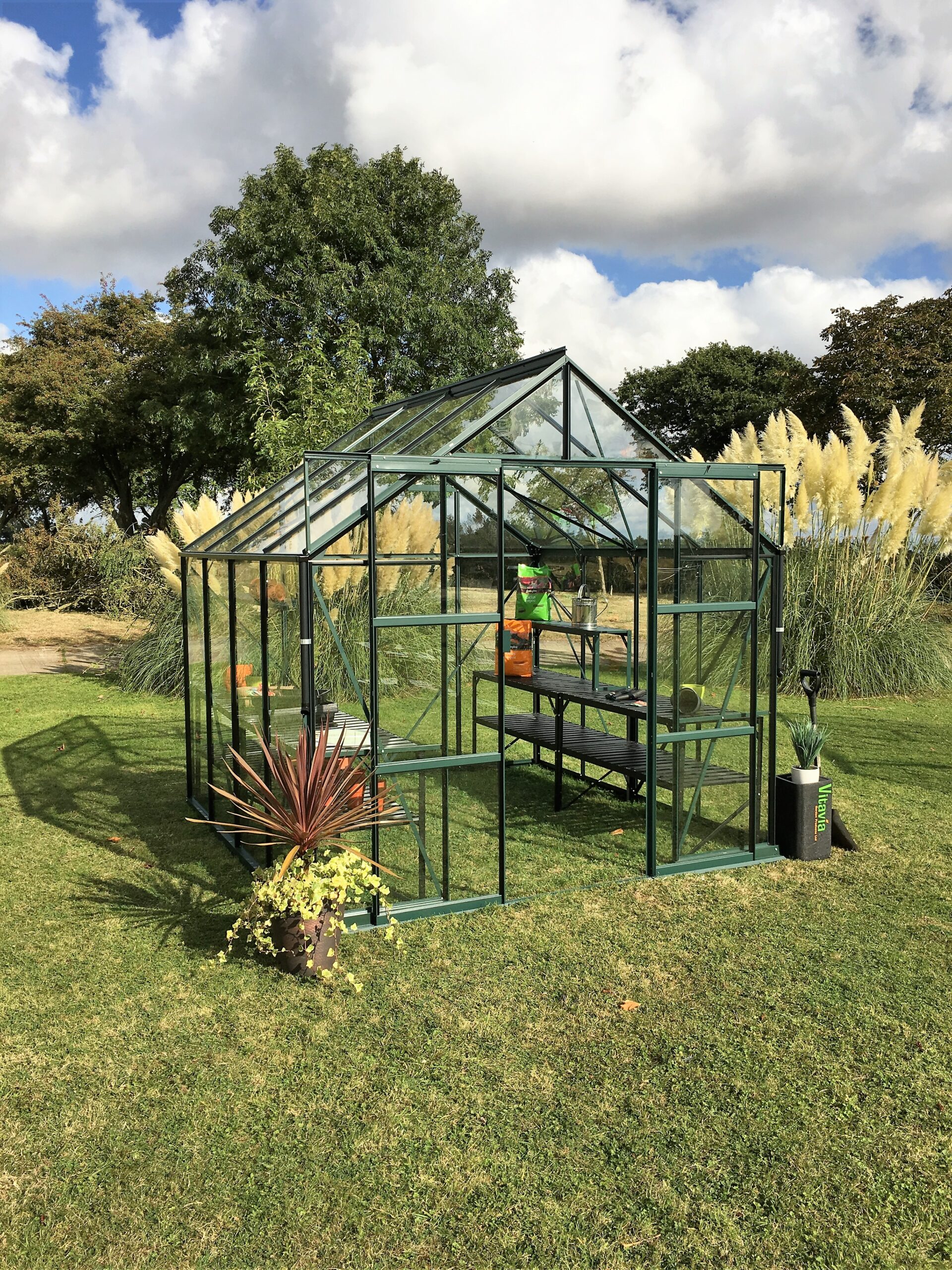 Vitavia Phoenix 8300 in Green