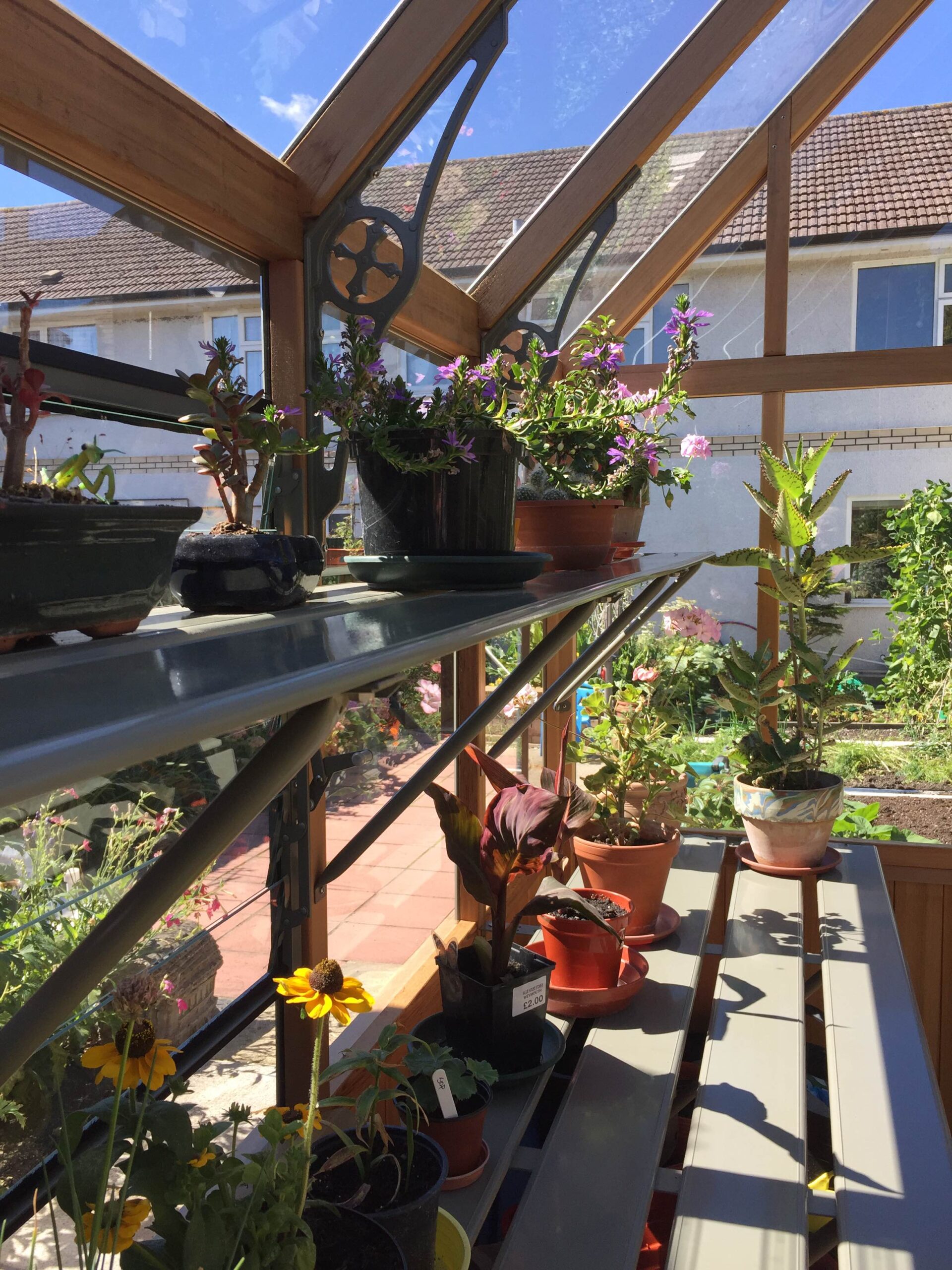 Alton Harrow GG internal with shelf and staging