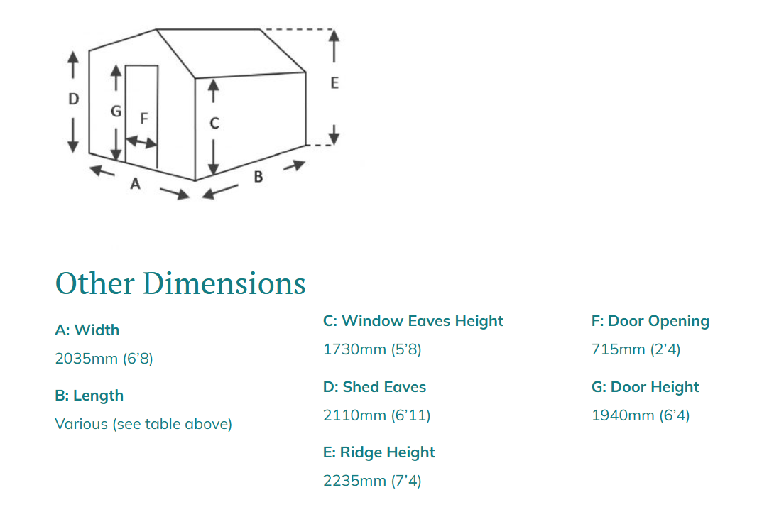 Swallow Jay Dimensions 